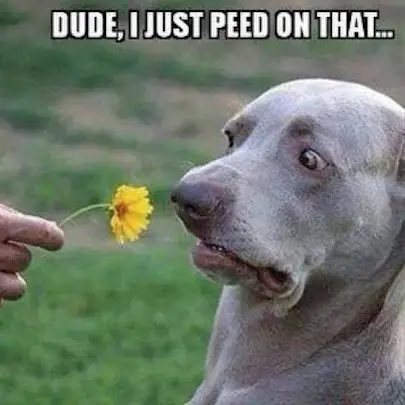 Yuck!